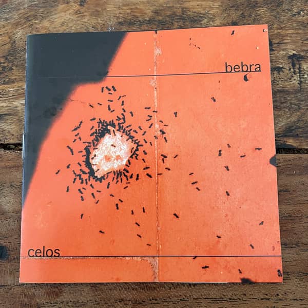 alternative-singer-songwriter-disk-celos-front-page